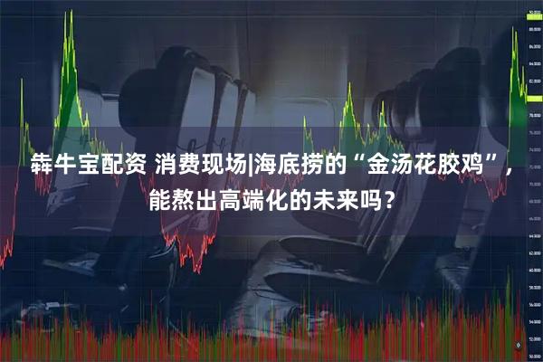犇牛宝配资 消费现场|海底捞的“金汤花胶鸡”，能熬出高端化的未来吗？