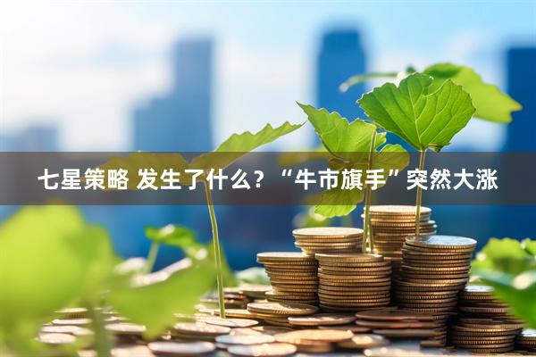 七星策略 发生了什么？“牛市旗手”突然大涨