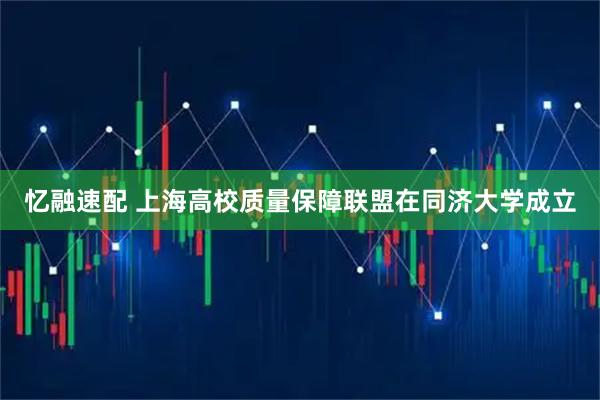 忆融速配 上海高校质量保障联盟在同济大学成立